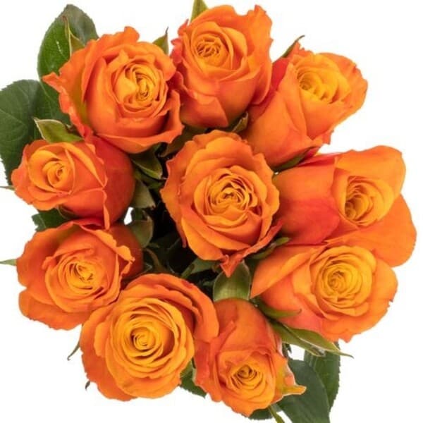 Çift Terapisi Çift Terapisi