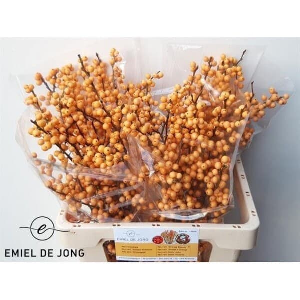 Çocuk Terapisi Çocuk Terapisi